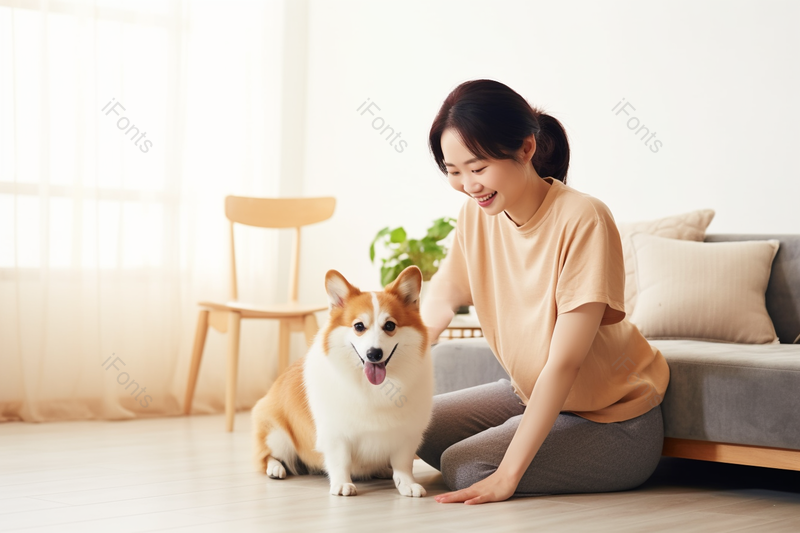 宠物柯基和主人开心玩耍高清摄影图,高清,摄影图,摄影图片,图片大全,摄影图免费下载